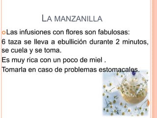 LA MANZANILLA
 Las infusiones con flores son fabulosas:
6 taza se lleva a ebullición durante 2 minutos,
se cuela y se toma.
Es muy rica con un poco de miel .
Tomarla en caso de problemas estomacales.
 