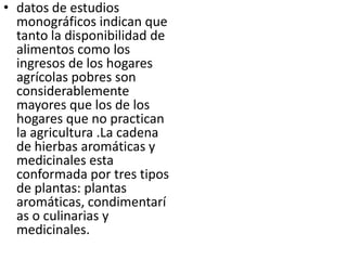 • datos de estudios
  monográficos indican que
  tanto la disponibilidad de
  alimentos como los
  ingresos de los hogares
  agrícolas pobres son
  considerablemente
  mayores que los de los
  hogares que no practican
  la agricultura .La cadena
  de hierbas aromáticas y
  medicinales esta
  conformada por tres tipos
  de plantas: plantas
  aromáticas, condimentarí
  as o culinarias y
  medicinales.
 