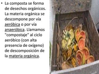 • La composta se forma
  de desechos orgánicos.
  La materia orgánica se
  descompone por vía
  aeróbica o por vía
  anaeróbica. Llamamos
  "compostaje" al ciclo
  aeróbico (con alta
  presencia de oxígeno)
  de descomposición de
  la materia orgánica.
 
