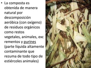 • La composta es
  obtenida de manera
  natural por
  descomposición
  aeróbica (con oxígeno)
  de residuos orgánicos
  como restos
  vegetales, animales, exc
  rementos y purines
  (parte líquida altamente
  contaminante que
  rezuma de todo tipo de
  estiércoles animales)
 