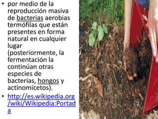 • por medio de la
  reproducción masiva
  de bacterias aerobias
  termófilas que están
  presentes en forma
  natural en cualquier
  lugar
  (posteriormente, la
  fermentación la
  continúan otras
  especies de
  bacterias, hongos y
  actinomicetos).
• http://es.wikipedia.org
  /wiki/Wikipedia:Portad
  a
 