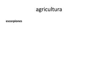 agricultura
escorpiones
 
