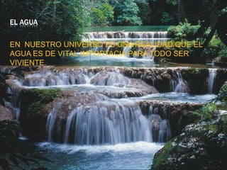 EL AGUA 
EN NUESTRO UNIVERSO ES UNA REALIDAD QUE EL 
AGUA ES DE VITAL IMPORTACIA PARA TODO SER 
VIVIENTE. 
