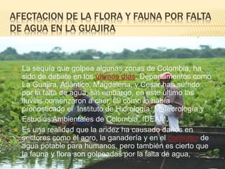 AFECTACION DE LA FLORA Y FAUNA POR FALTA 
DE AGUA EN LA GUAJIRA 
 La sequía que golpea algunas zonas de Colombia, ha 
sido de debate en los últimos días. Departamentos como 
La Guajira, Atlántico, Magdalena, y Cesar han sufrido 
por la falta de agua, sin embargo, en este último las 
lluvias comenzaron a caer, tal como lo había 
pronosticado el Instituto de Hidrología, Meteorología y 
Estudios Ambientales de Colombia, IDEAM. 
 Es una realidad que la aridez ha causado daños en 
sectores como el agro, la ganadería y en el consumo de 
agua potable para humanos, pero también es cierto que 
la fauna y flora son golpeadas por la falta de agua, 
 