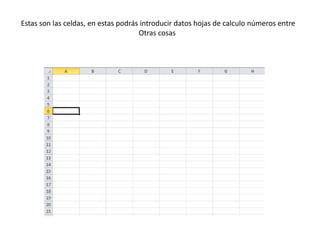 Estas son las celdas, en estas podrás introducir datos hojas de calculo números entre
Otras cosas
