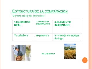 ESTRUCTURA DE LA COMPARACIÓN
Siempre posee tres elementos:

 1.ELEMENTO          2.CONECTOR     3.ELEMENTO
                     COMPARATIVO
 REAL                               IMAGINADO


 Tu cabellera        se parece a    un manojo de espigas
                                    de trigo.




                          se parece a
 