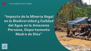 Impacto de la Minería Ilegal en la Biodiversidad y Calidad del Agua en ...