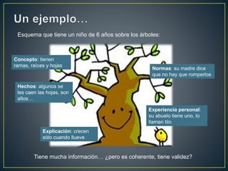 Concepto: tienen
ramas, raíces y hojas
Hechos: algunos se
les caen las hojas, son
altos…
Normas: su madre dice
que no hay que romperlos
Experiencia personal:
su abuelo tiene uno, lo
llaman tilo
Explicación: crecen
sólo cuando llueve
Esquema que tiene un niño de 6 años sobre los árboles:
Tiene mucha información… ¿pero es coherente, tiene validez?
 