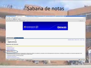 Sabana de notas
 