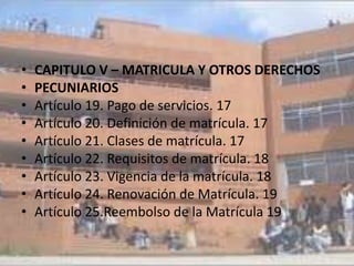 •   CAPITULO V – MATRICULA Y OTROS DERECHOS
•   PECUNIARIOS
•   Artículo 19. Pago de servicios. 17
•   Artículo 20. Definición de matrícula. 17
•   Artículo 21. Clases de matrícula. 17
•   Artículo 22. Requisitos de matrícula. 18
•   Artículo 23. Vigencia de la matrícula. 18
•   Artículo 24. Renovación de Matrícula. 19
•   Artículo 25.Reembolso de la Matrícula 19
 