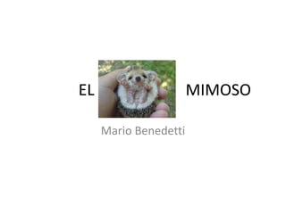 EL MIMOSO
Mario Benedetti
 