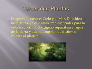 

Después de crear el Cielo y el Mar, Dios hizo a
las plantas, ya que éstas eran esenciales para la
vida en el ciclo del oxígeno separaban el agua
de la tierra y además nutrían de distintos
colores al planeta.

 