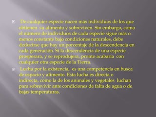 



De cualquier especie nacen más individuos de los que
obtienen su alimento y sobreviven. Sin embargo, como
el número de individuos de cada especie sigue más o
menos constante bajo condiciones naturales, debe
deducirse que hay un porcentaje de la descendencia en
cada generación. Si la descendencia de una especie
prosperara, y se reprodujera, pronto acabaría con
cualquier otra especie de la Tierra.
Lucha por la existencia, es una competencia en busca
de espacio y alimento. Esta lucha es directa o
indirecta, como la de los animales y vegetales luchan
para sobrevivir ante condiciones de falta de agua o de
bajas temperaturas.

 