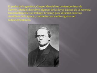 El padre de la genética, Gregor Mendel fue contemporáneo de
Darwin. Mendel descubrió algunas de las leyes básicas de la herencia
lamentablemente sus trabajos tuvieron poca difusión entre los
científicos de la época, y tardarías casi medio siglo en ser
redescubrimientos.

 