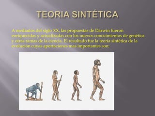 A mediados del siglo XX, las propuestas de Darwin fueron
enriquecidas y actualizadas con los nuevos conocimientos de genética
y otras ramas de la ciencia. El resultado fue la teoría sintética de la
evolución cuyas aportaciones mas importantes son:

 