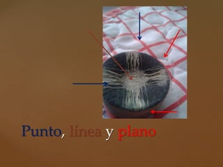 Punto, línea y plano
 