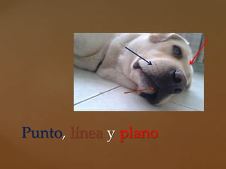 Punto, línea y plano
 