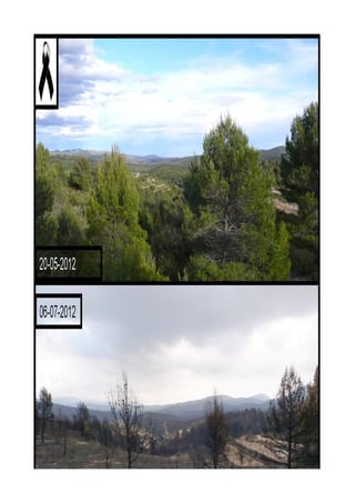 Trabajo%20incendios.odt 1