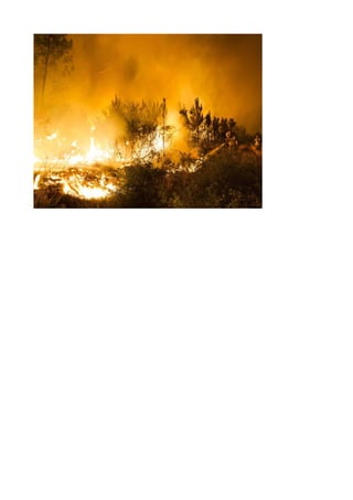 Trabajo%20incendios.odt 1