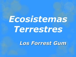 Ecosistemas
Terrestres
Los Forrest Gum
 