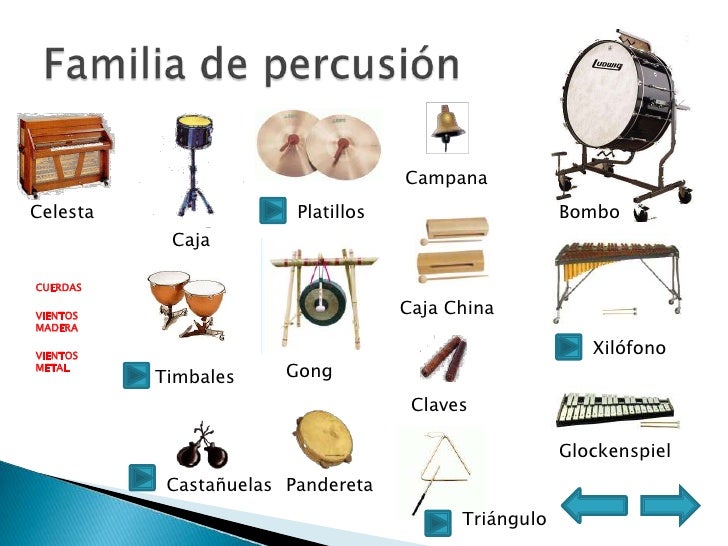 A Que Familia Pertenece El Bombo