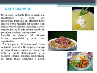 gastronomía
No en vano, en Santa Rosa se celebra la
anualmente         la      feria      del
langostino, mientras en Machala tiene
lugar la Feria Mundial del banano. Son
buenas oportunidades para degustar los
mejores platos de esta cocina basada en
pescado y marisco, verde y arroz.
También se elaboran del plátano:
harina, mermelada y puré para
exportación.
. Por ejemplo, se utiliza mucho el chuno
de harina de achira. Se prepara el sango
de papa china, el sango de choclo con
leche y queso desmenuzado y la
deliciosa corvina apanada acompañada
de papas fritas, encurtido y arroz.
 
