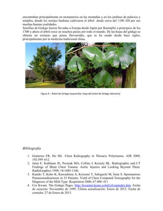encontraban principalmente en monasterios en las montañas y en los jardines de palacios y templos, donde los monjes budistas cultivaron el árbol desde cerca del 1100 AD por sus muchas buenas cualidades. 
Semillas de Ginkgo fueron llevadas a Europa desde Japón por Kaempfer a principios de los 1700 y ahora el árbol crece en muchos países por todo el mundo. De las hojas del ginkgo se obtiene un extracto que posee flavonoides, que se ha usado desde hace siglos, principalmente por la medicina tradicional china. 
Bibliografía 
1. Gutierrez FR, Ho ML. Chest Radiography in Thoracic Polytrauma. AJR 2009; 192:599–612. 
2. Janet E. Kuhlman JE, Pozniak MA, Collins J, Knisely BL. Radiographic and CT Findings of Blunt Chest Trauma: Aortic Injuries and Looking Beyond Them. RadloGraphics 1998; 18:1085-1106. 
3. Kaneki T, Kubo K, Kawashima A, Koizumi T, Sekiguchi M, Sone S. Spontaneous Pneumomediastinum in 33 Patients: Yield of Chest Computed Tomography for the Diagnosis of the Mild Type. Respiration 2000; 67:408–411 
4. Cor Kwant. The Ginkgo Pages. http://kwanten.home.xs4all.nl/espindex.htm. Fecha de creación: Noviembre de 1999. Última actualización: Enero de 2013. Fecha de consulta: 27 de Enero de 2013. 
Figura 4 – Árbol de Ginkgo (izquierda). Hoja del árbol de Ginkgo (derecha) 