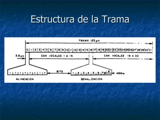 Estructura de la Trama 