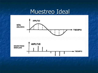 Muestreo Ideal 