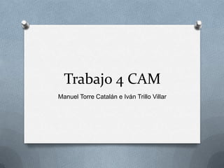 Trabajo 4 CAM
Manuel Torre Catalán e Iván Trillo Villar

 