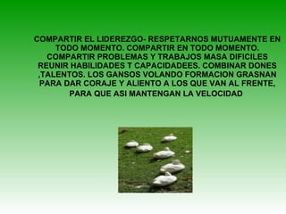 COMPARTIR EL LIDEREZGO- RESPETARNOS MUTUAMENTE EN TODO MOMENTO. COMPARTIR EN TODO MOMENTO. COMPARTIR PROBLEMAS Y TRABAJOS MASA DIFICILES REUNIR HABILIDADES T CAPACIDADEES. COMBINAR DONES ,TALENTOS. LOS GANSOS VOLANDO FORMACION GRASNAN PARA DAR CORAJE Y ALIENTO A LOS QUE VAN AL FRENTE, PARA QUE ASI MANTENGAN LA VELOCIDAD   