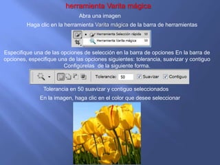 herramienta Varita mágica
                              Abra una imagen
         Haga clic en la herramienta Varita mágica de la barra de herramientas




Especifique una de las opciones de selección en la barra de opciones En la barra de
opciones, especifique una de las opciones siguientes: tolerancia, suavizar y contiguo
                        Configúrelas de la siguiente forma.



                Tolerancia en 50 suavizar y contiguo seleccionados
              En la imagen, haga clic en el color que desee seleccionar
 