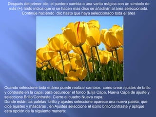 Después del primer clic, el puntero cambia a una varita mágica con un símbolo de
 más (+). Esto indica que si se hacen mas clics se añadirán al área seleccionada.
        Continúe haciendo clic hasta que haya seleccionado toda el área




Cuando seleccione toda el área puede realizar cambios como crear ajustes de brillo
y contraste en la capa, para oscurecer el fondo (Elija Capa, Nueva Capa de ajuste y
seleccione Brillo/Contraste. Cierre el cuadro Nueva capa.
Donde están las paletas brillo y ajustes seleccione aparece una nueva paleta, que
dice ajustes y máscaras , en Ajustes seleccione el icono brillo/contraste y aplique
esta opción de la siguiente manera:
 