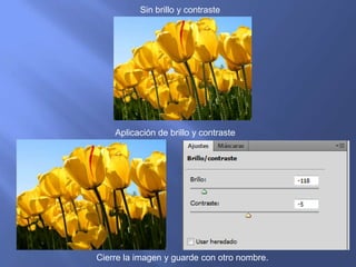 Sin brillo y contraste




    Aplicación de brillo y contraste




Cierre la imagen y guarde con otro nombre.
 