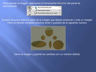 Para recortar la imagen, seleccione la herramienta Recortar del panel de
herramientas




Arrastre el cursor sobre la parte de la imagen que desea conservar y cree un margen
     Para un recorte completo presione enter y quedara de la siguiente manera




           Cierre la imagen y guarde los cambios con un nombre distinto
 