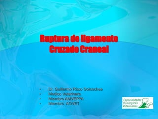 Ruptura de ligamento
Cruzado Craneal
• Dr. Guillermo Risco Goicochea
• Medico Veterinario
• Miembro AMVEPPA
• Miembro AOVET
 