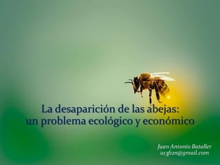 La desaparición de las abejas:
un problema ecológico y económico
 