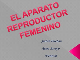 Judith Esteban
Aizea Arroyo
3ºPMAR
 