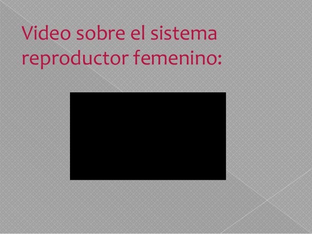 femenino de varon sinónimos actividad femenino de varon sinónimos actividad