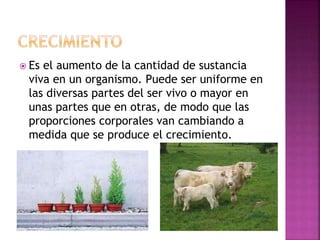  Es el aumento de la cantidad de sustancia
viva en un organismo. Puede ser uniforme en
las diversas partes del ser vivo o mayor en
unas partes que en otras, de modo que las
proporciones corporales van cambiando a
medida que se produce el crecimiento.
 