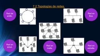7.2 Topologías de redes.
Red de
anillo.
Red en
malla.
Red en
estrella.
Red en
Bus.
Red en
árbol.
 