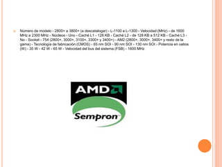  Número de modelo - 2800+ a 3800+ (a descatalogar) - L-1100 a L-1300 - Velocidad (MHz) - de 1600
MHz a 2300 MHz - Núcleos - Uno - Caché L1 - 128 KB - Caché L2 - de 128 KB a 512 KB - Caché L3 -
No - Socket - 754 (2800+, 3000+, 3100+, 3300+ y 3400+) - AM2 (2800+, 3000+, 3400+ y resto de la
gama) - Tecnología de fabricación (CMOS) - 65 nm SOI - 90 nm SOI - 130 nm SOI - Potencia en vatios
(W) - 35 W - 42 W - 65 W - Velocidad del bus del sistema (FSB) - 1600 MHz
 