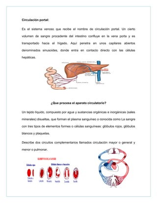 Circulación portal:
Es el sistema venoso que recibe el nombre de circulación portal. Un cierto
volumen de sangre procedente del intestino confluye en la vena porta y es
transportado hacia el hígado. Aquí penetra en unos capilares abiertos
denominados sinusoides, donde entra en contacto directo con las células
hepáticas.
¿Que procesa el aparato circulatorio?
Un tejido líquido, compuesto por agua y sustancias orgánicas e inorgánicas (sales
minerales) disueltas, que forman el plasma sanguíneo o conocida como La sangre
con tres tipos de elementos formes o células sanguíneas: glóbulos rojos, glóbulos
blancos y plaquetas.
Describe dos circuitos complementarios llamados circulación mayor o general y
menor o pulmonar.
 