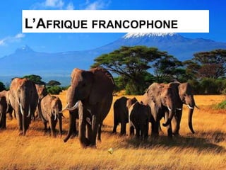 L’AFRIQUE FRANCOPHONE
 
