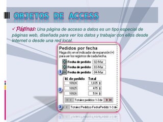 Páginas: Una página de acceso a datos es un tipo especial de 
páginas web, diseñada para ver los datos y trabajar con ellos desde 
Internet o desde una red local. 
 