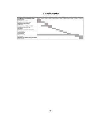 19
5. CRONOGRAMA
 