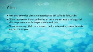 Clima
• Presenta sólo dos climas característicos del Valle de Tehuacán:
• Clima seco semicálido con lluvias en verano y escasas a lo largo del
año: se presenta en la mayoría del municipio.
• Clima seco muy cálido: el más seco de los esteparios, ocupa la parte
sur del municipio.
 