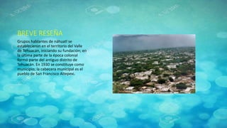 BREVE RESEÑA
Grupos hablantes de náhuatl se
establecieron en el territorio del Valle
de Tehuacán, iniciando su fundación; en
la última parte de la época colonial
formó parte del antiguo distrito de
Tehuacán. En 1930 se constituye como
municipio; la cabecera municipal es el
pueblo de San Francisco Altepexi.
 