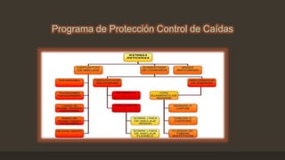 Programa de Protección Control de Caídas
 