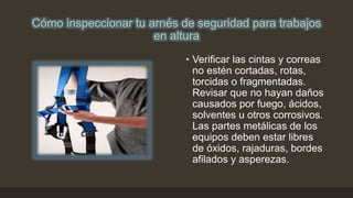 Cómo inspeccionar tu arnés de seguridad para trabajos
en altura
• Verificar las cintas y correas
no estén cortadas, rotas,
torcidas o fragmentadas.
Revisar que no hayan daños
causados por fuego, ácidos,
solventes u otros corrosivos.
Las partes metálicas de los
equipos deben estar libres
de óxidos, rajaduras, bordes
afilados y asperezas.
 